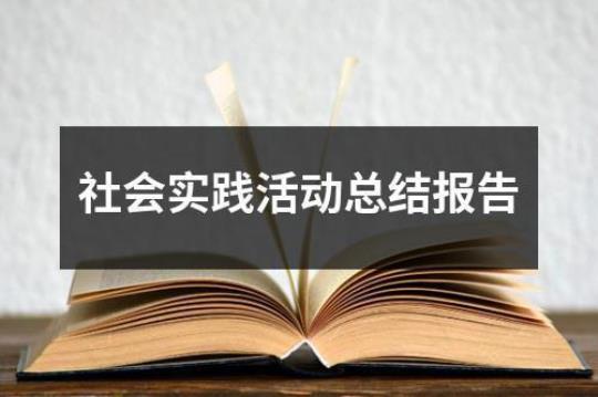 社会实习总结范文