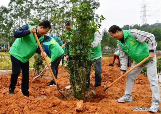 呼吁人们植树的英语演讲稿