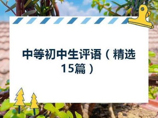 实习生实习报告15篇