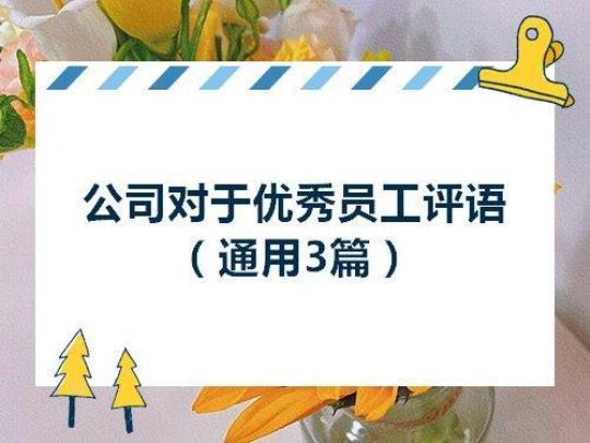 网络公司实习鉴定评语