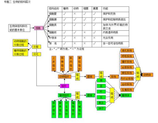 初中生物实验教学计划