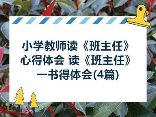 当老师实习心得体会