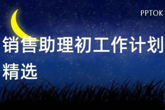 公司销售助理工作计划2020