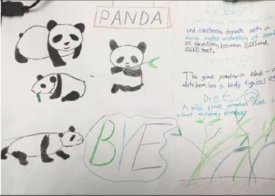 关于熊猫的英语演讲稿范文