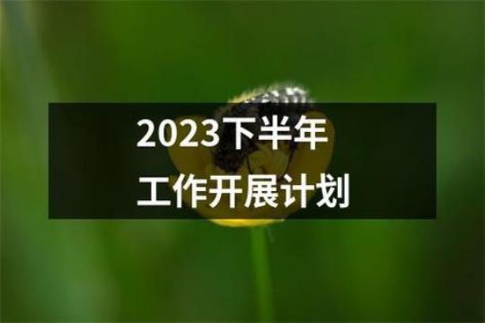 企业下半年的计划范文