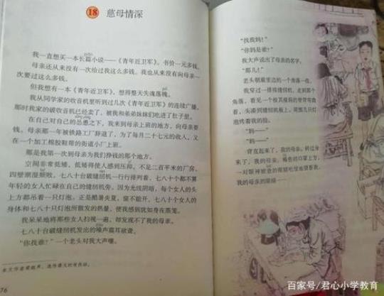 中小幼慈母情深10公开课教案教学设计课件