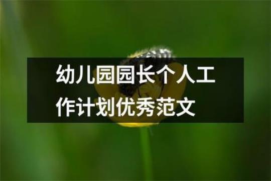 幼儿园园长个人工作计划范文精选