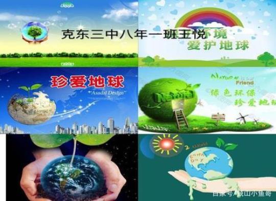 世界保护环境宣传活动总结(4篇)
