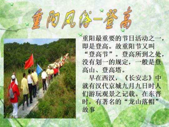 重阳节活动总结简短幼儿园 重阳节活动总结范文