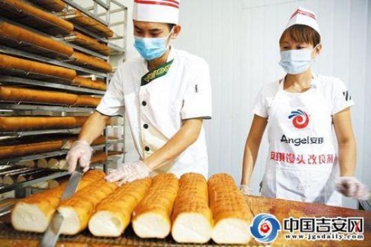 大学生面包生产实习模板