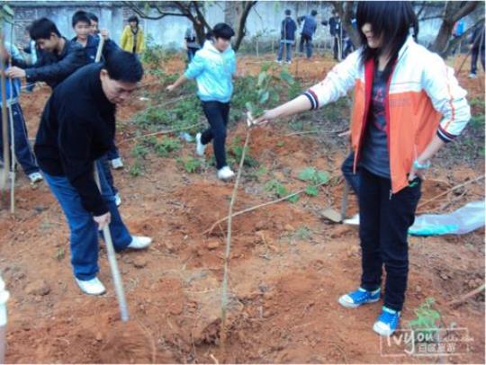 最新大学植树活动总结