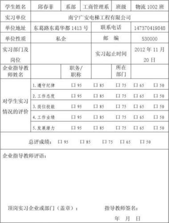 顶岗实习报告模板范文