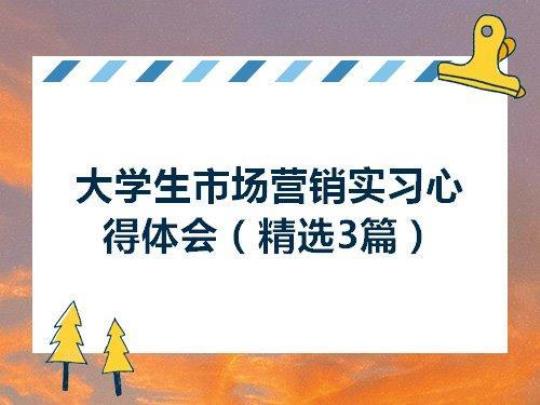 大学生销售专业实习报告感想