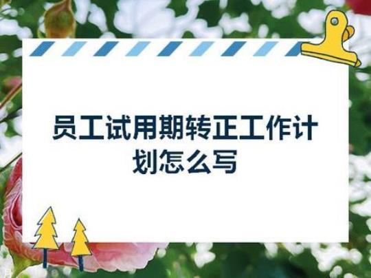 三个月试用期工作计划