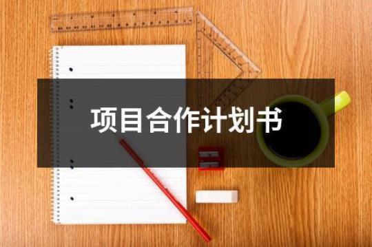 合作项目计划书2500字精选