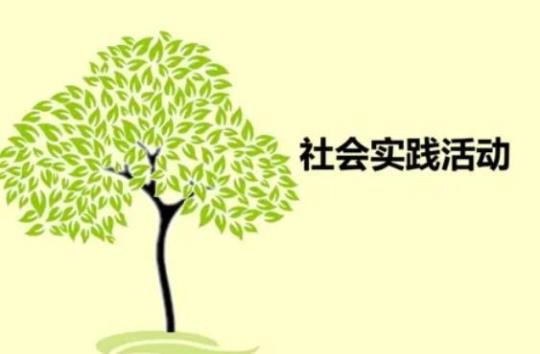 暑期高中生社会实践总结系列(11篇)