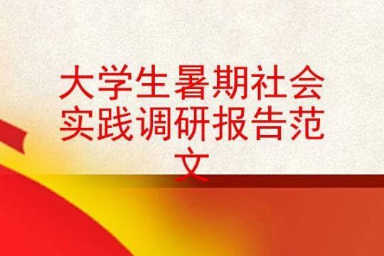 大一学生暑假社会实践总结合集