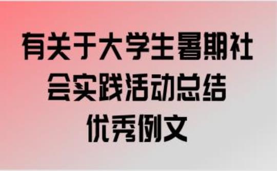 暑假大学生实践报告3000字优秀