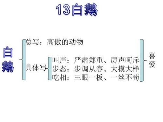 小学语文四年级下册《白鹅》教案