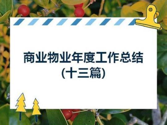 2023最新物业年度工作总结及计划精选