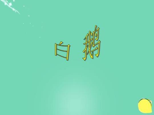 《白鹅》的课件设计精选3篇