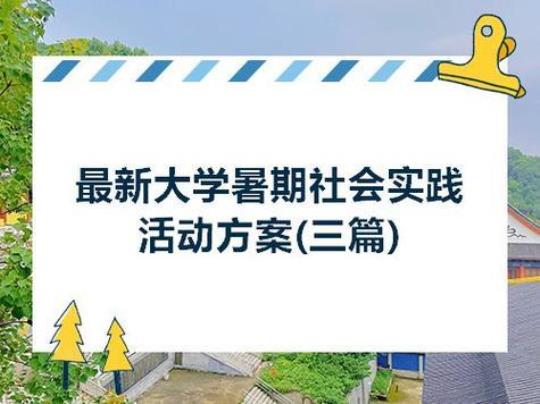 大三学生暑假社会实践活动总结12篇