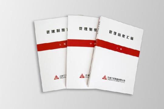 销售总监工作计划汇编