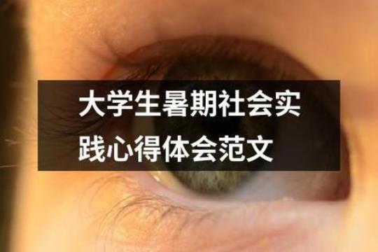 大学生社会实践个人总结（通用6篇）