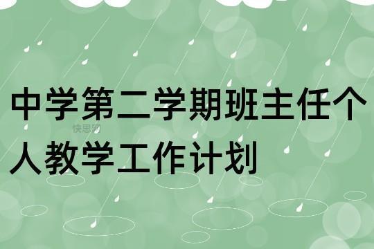 班主任下半年个人工作计划精选