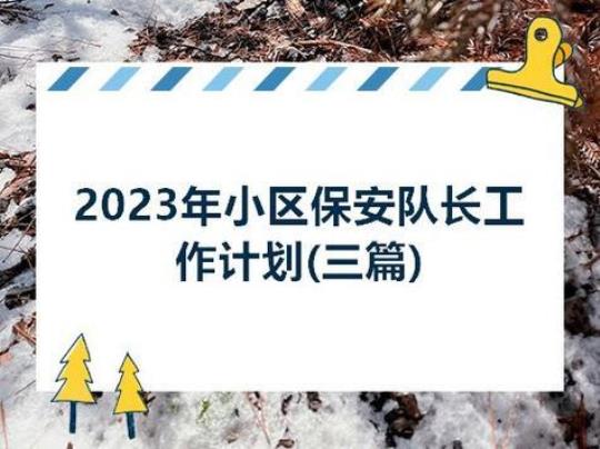 保安2023年个人工作计划(精选4篇)