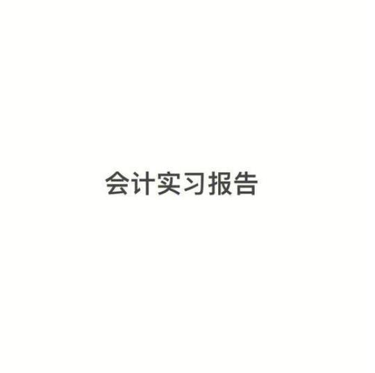 会计部门实习报告3000字