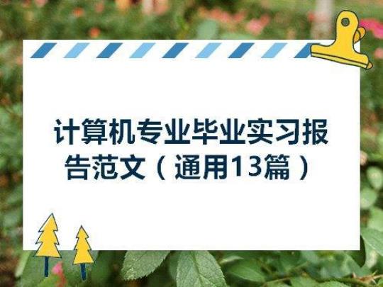 计算机毕业实习报告范文3000字