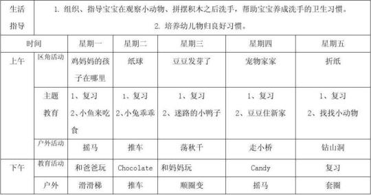 托班幼儿老师个人工作计划系列