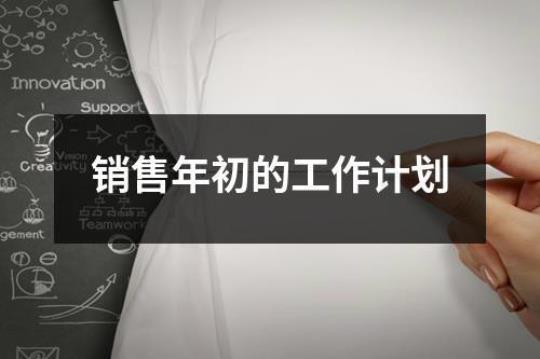 关于销售人员新年工作计划通用