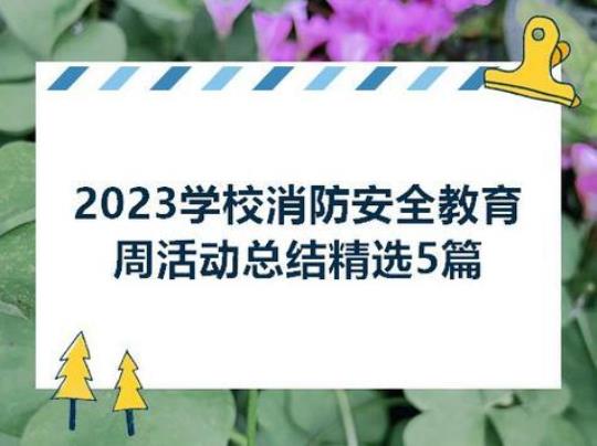 2023学校消防日活动总结(优选12篇)