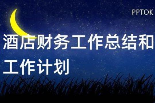 企业财务工作总结及工作计划汇总