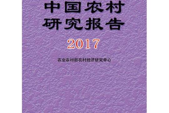 农村经济发展论文范文