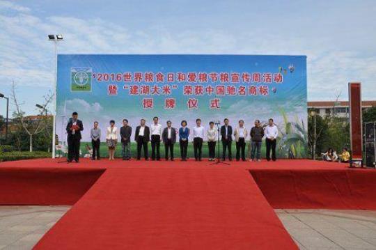 世界粮食日和全国爱粮节粮宣传周活动总结范文 当今世界粮食现状