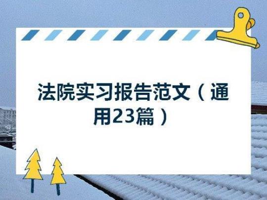 寒假法院实习报告范文