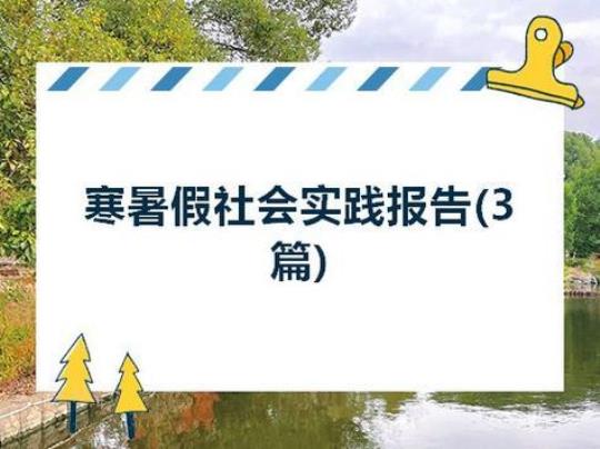 大学生假期社会实践活动个人总结