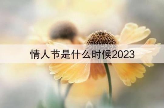 2023情人节活动总结(18篇)