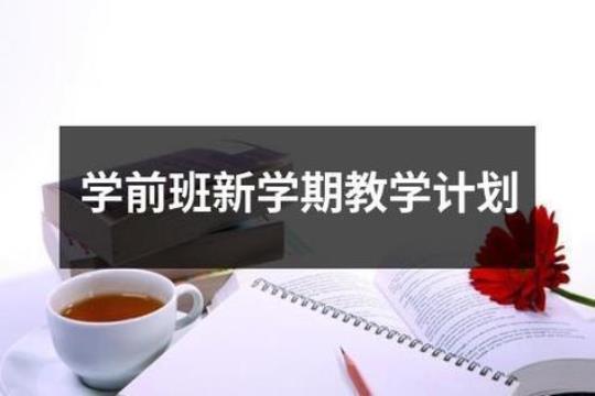 幼儿园学前班教学计划范本2000字