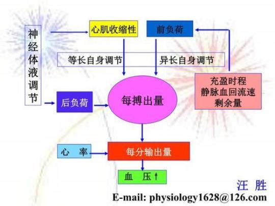 1.28--10-3生理学课件生理学课件