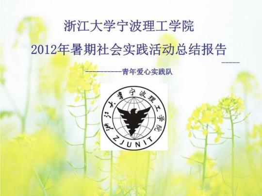 学校社会实践活动总结大学