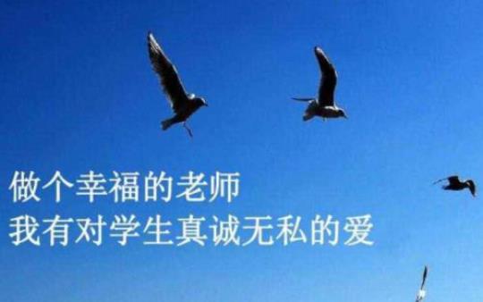 无悔的选择师德演讲稿范文 师德行为的选择