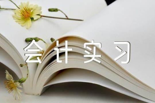 会计顶岗实习报告锦集5篇 会计顶岗月记12篇通用