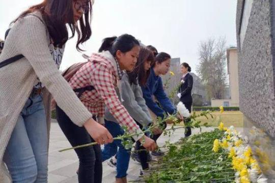 清明节大学生扫墓活动总结