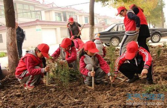 大学生植树节主题活动总结范文