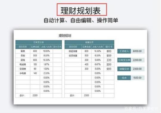 最新企业财务年度计划模板