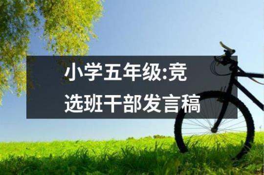 竞选班干部发言稿（精选12篇） 竞选班干部发言稿小学二年级